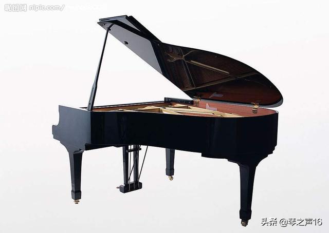 乐器之王是什么（乐器之王是什么生肖）