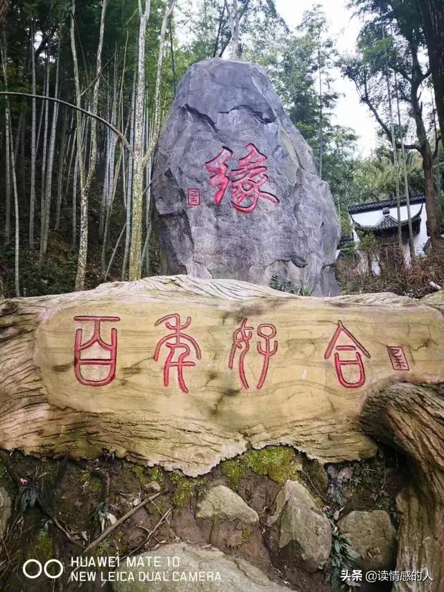 爱我多深在线观看（爱我多深莫妮卡原版免费观看）